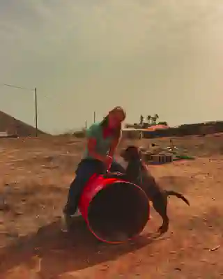 Jo practices with a dog in the self-made Agility Park.