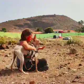 Jo füttert einen Hund aus dem Tierheim. Im Hintergrund die Arche Noah Teneriffa.