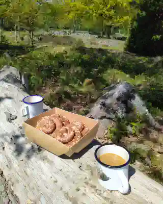 Schwedische Kaffeepause: Zwei Becher Kaffee stehen auf einem Baumstamm neben einem Karton Kanelbular.