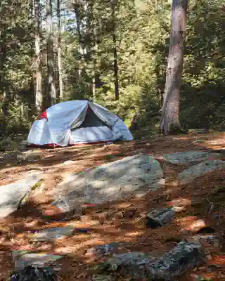 Our white tent on a campsite surrounded by trees