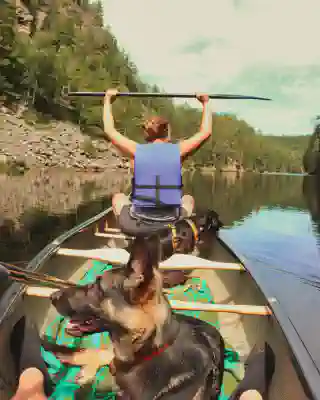 Jo, Momo und Nelly sitting in a canoe. Jo is shown from the back and raises her paddel over her head.