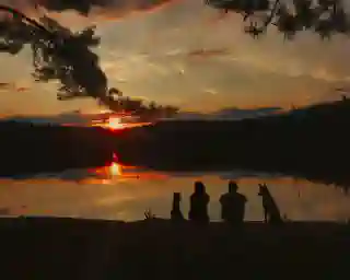 Georg, Jo, Momo und Nelly am See bei Sonnenuntergang.
