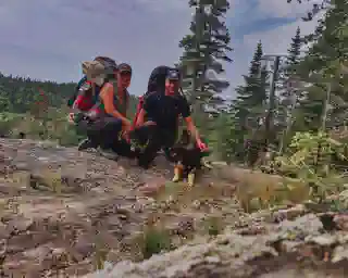 Felsen, Sand, ein paar Treibholzstämme und blauer Himmel mit Wolken. 
Jo, Georg, Momo und Nelly sitzen auf einem Holzstamm.
