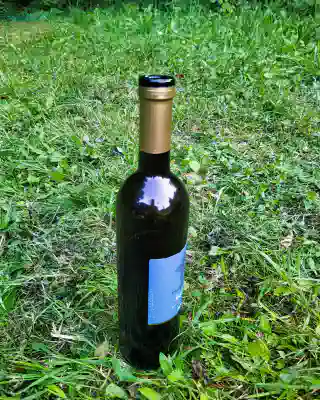 Wine bottle on green grass.