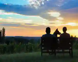 Jo, Georg and Momo are sitting on a bench at the top of a vineyard in Slovenia watching the sunset.