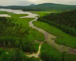 Green landscape and a river where our T4 is parked