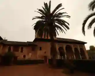 Eins der Gebäude der Alhambra von Außen. Vor dem Gebäude steht eine schöne Palme