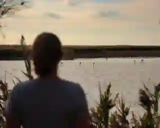 Im Hintergrund ein See, in dem Flamingos fischen. Vorne steht Jo und schaut den Flamingos zu