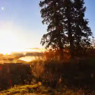 A lake in the morning mist