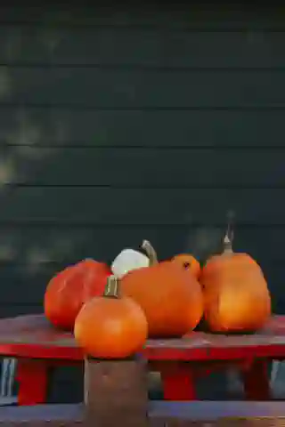 Pumpkins on a red wooden table against the green wall of the house