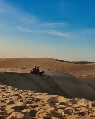 Jo, Georg, Momo, and Nelly on a sand dune.