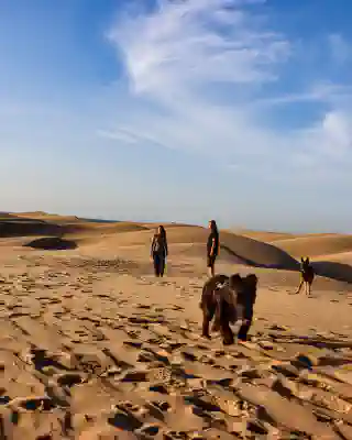 Sand as far as the eye can see.