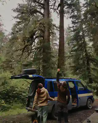 Campsite under tall trees. Cape Scott Provincial Park.