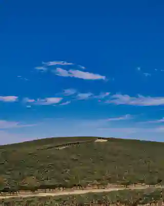 Small collage of the Windows XP hill.