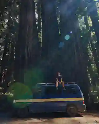 Our van in Redwood National Park.