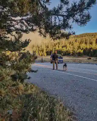 Potty break in the parking lot with Momo at Yellowstone National Park